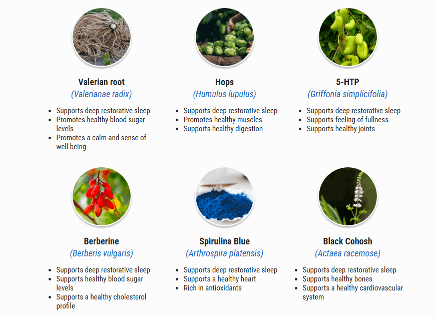 Sumatra Slim Belly Tonic Recipe ingredients overview infographic showing natural components used for metabolic and energy support